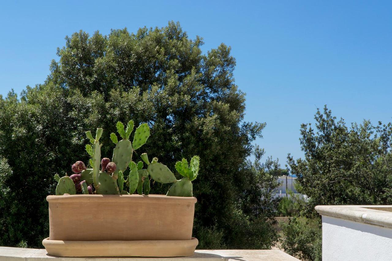 Antonella B&B Santa Maria di Leuca エクステリア 写真